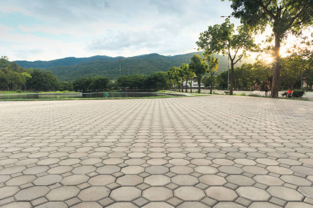Best Interlocking Driveway Pavers  in Bedminster, NJ
